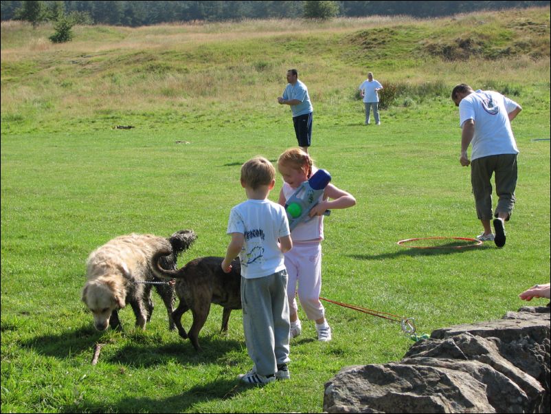 Lets wash the dogs now